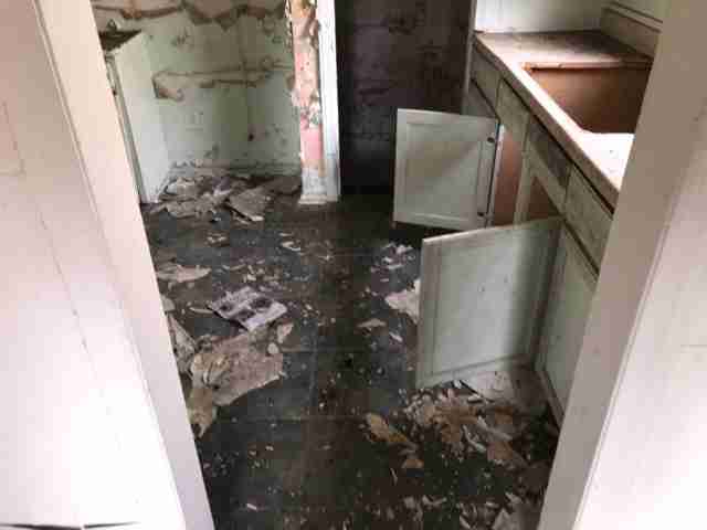 Testing again(43).jpg